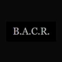 Born Again Computer Repair logo